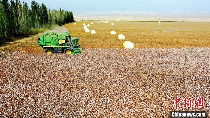 近年來，當?shù)孛藁ǚN植戶的生產(chǎn)生活發(fā)生了翻天覆地的變化?！《?攝