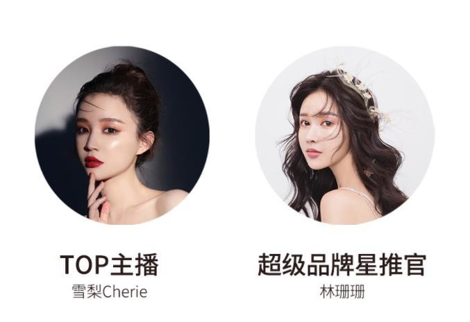 宸帆電商官網(wǎng)截圖。