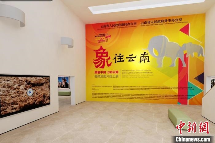 圖為“象”往云南——美麗中國(guó) 七彩云南視頻及圖片線上展截圖?！『h(yuǎn)航 攝
