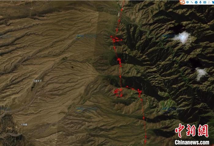 圖為雪豹故地重游來(lái)到放歸地的足跡?！?nèi)蒙古賀蘭山國(guó)家級(jí)自然保護(hù)區(qū)供圖