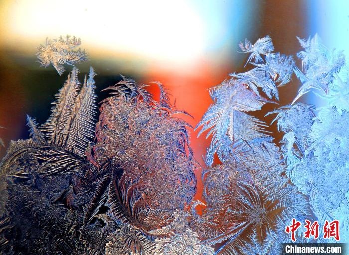 惟妙惟肖的冰窗花，似一幅風(fēng)景畫。　孫書程 攝