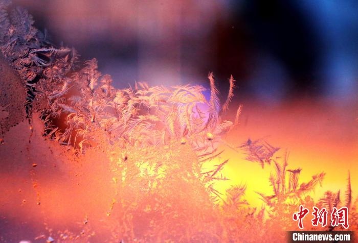 迎著光亮，冰窗花絢麗多姿?！O書程 攝