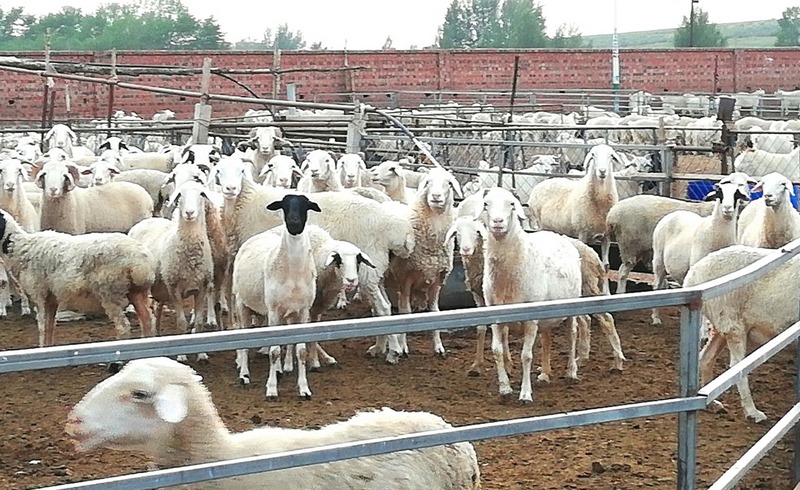 1629102981278106.png 圖片4.png