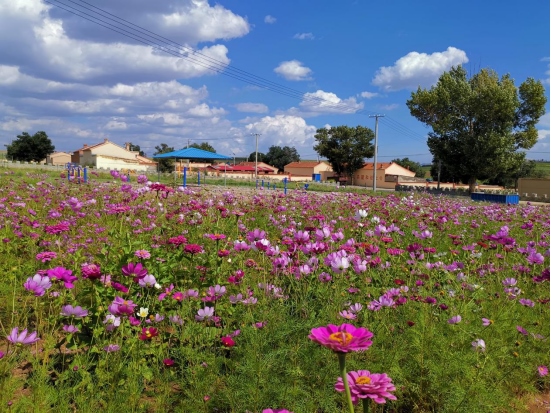 1639364134934822.png 6ac9f605cab4aa380f8f991f28427bb1552.png