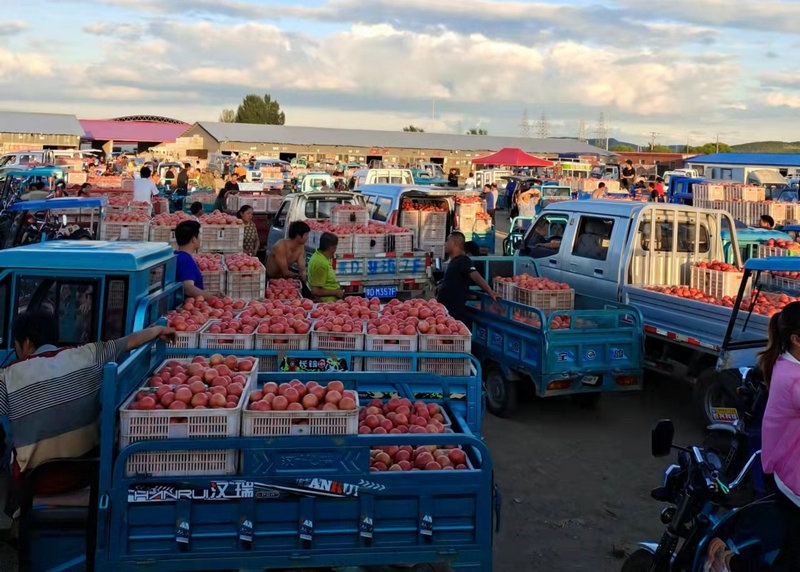 1649669152106464.jpg 微信圖片_20220411172253.jpg