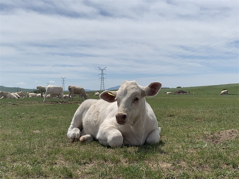 1659324910477136.jpg 微信圖片_20220801112945.jpg