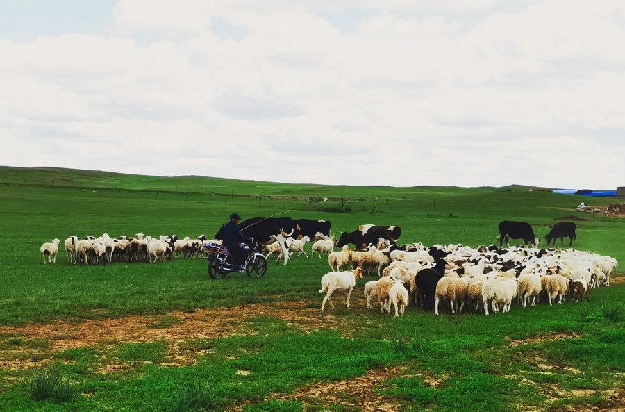 1676471051360176.jpg 624d3d44ly1gt0g92fcmwj21400u0thk.jpg