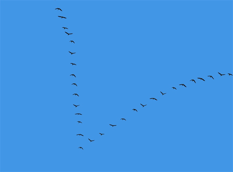 1677757623101404.jpg 微信圖片_20230302194206.jpg