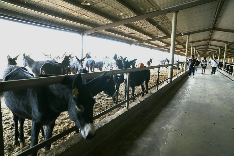 1689269772106563.jpg 7O5A9959_副本.jpg