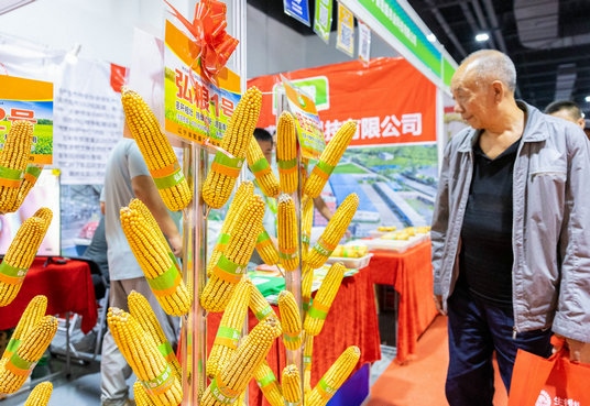 1692183483328504.jpg 5.jpg