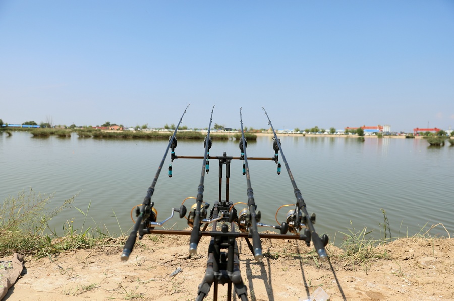 1693062305462290.jpg 7O5A8409.JPG