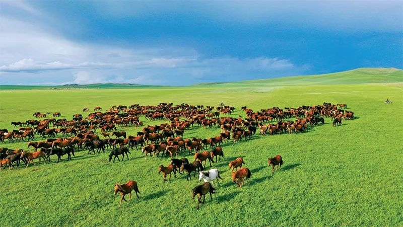 1702782555117463.jpg 640 (3).jpg