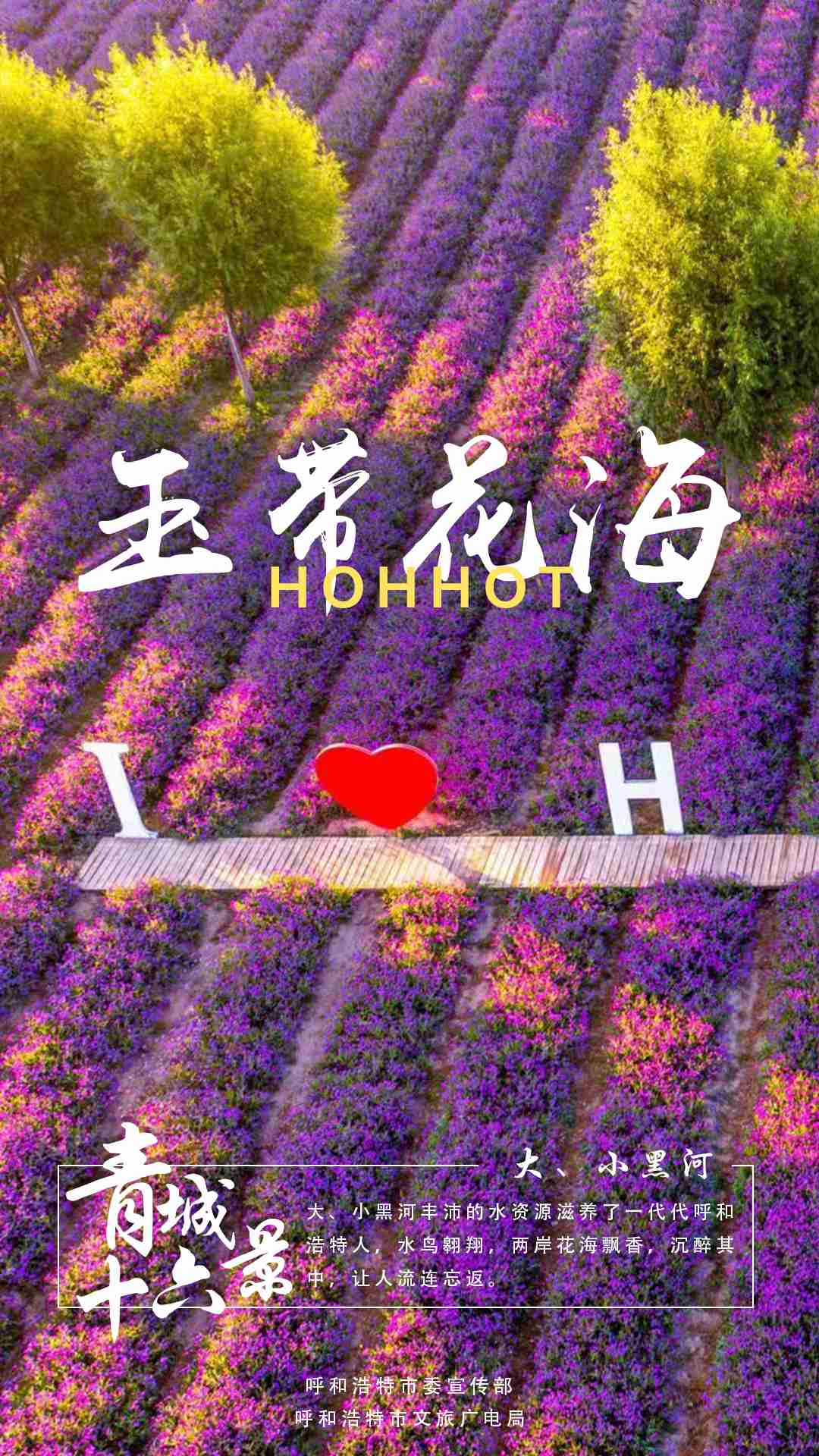 1703238185920406.jpg 14.jpg