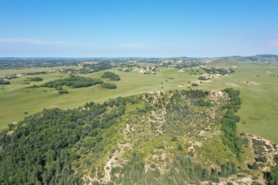 1722874618118548.jpg DJI_0411.jpg