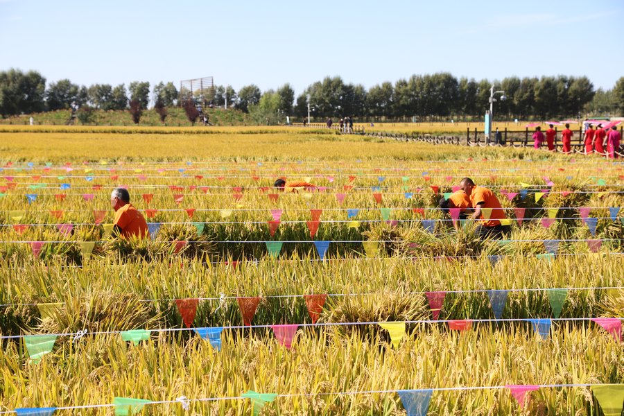 1726935834381132.png 圖片18.png