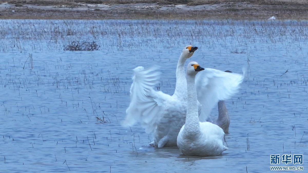 1731738848505494.jpg 111.jpg