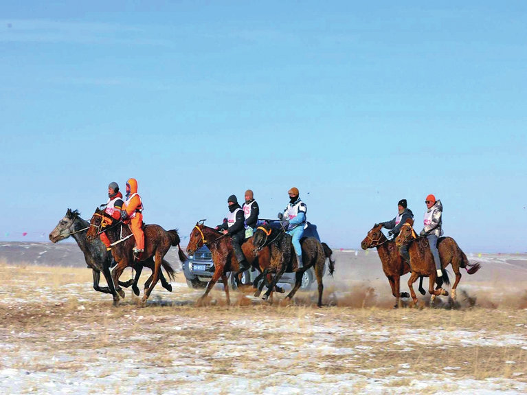 1733882311434362.jpg 馬.jpg