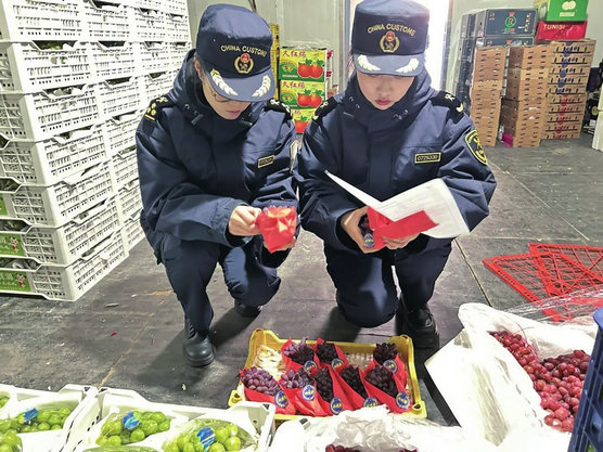 1734406198184606.jpg 果蔬2.jpg