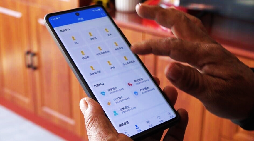 1736739958386382.png 01e87609dc7bf9a79d080c384c81fa53.png