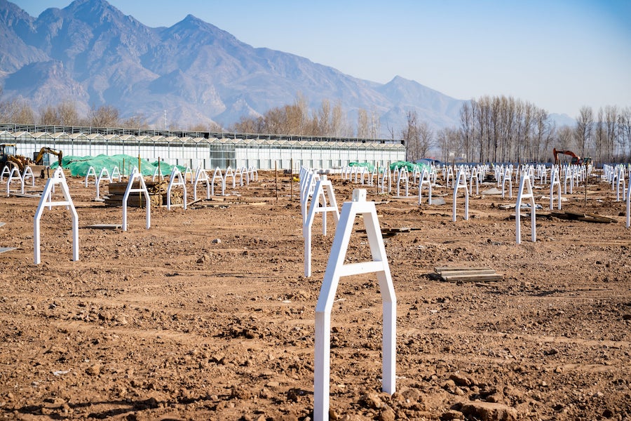 1740739317126913.jpeg WechatIMG14059.jpeg