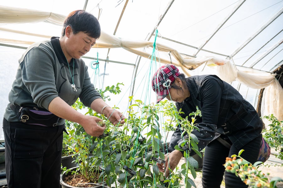 1740747963919890.jpeg WechatIMG3010.jpeg