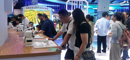 1752762468563156.jpg 眼福2.jpg