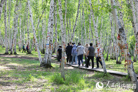 1752798464103203.jpg 呼倫4.jpg