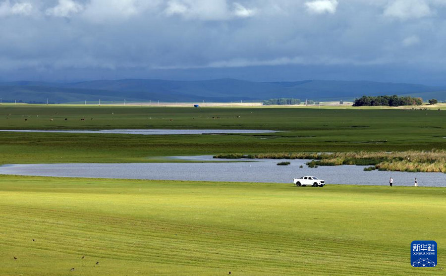 1754375732119968.jpg 20250804cbf74faacd9b4b2f964ec61d29ed561b_20250804be150955f1b04b8696eb30ca737c57f9.jpg