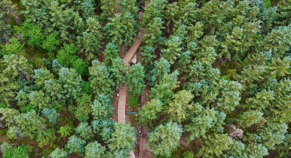 1757578279969893.jpg 155431_500.jpg