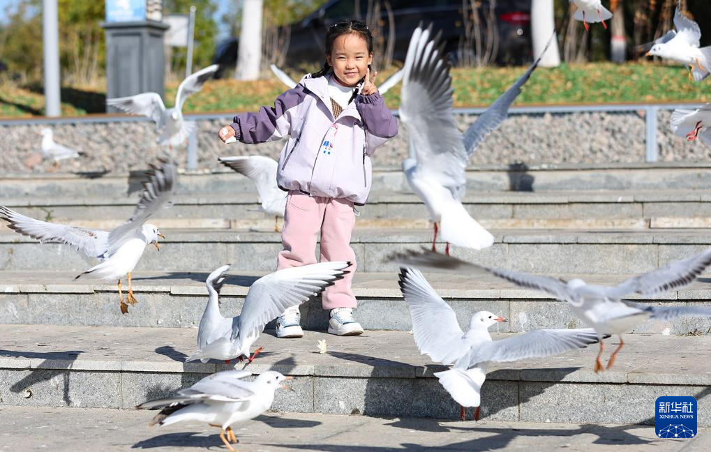 1762136740251778.jpg _K4I9674(1).JPG