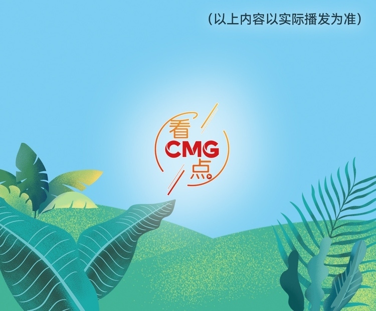 總臺周看點，來了！