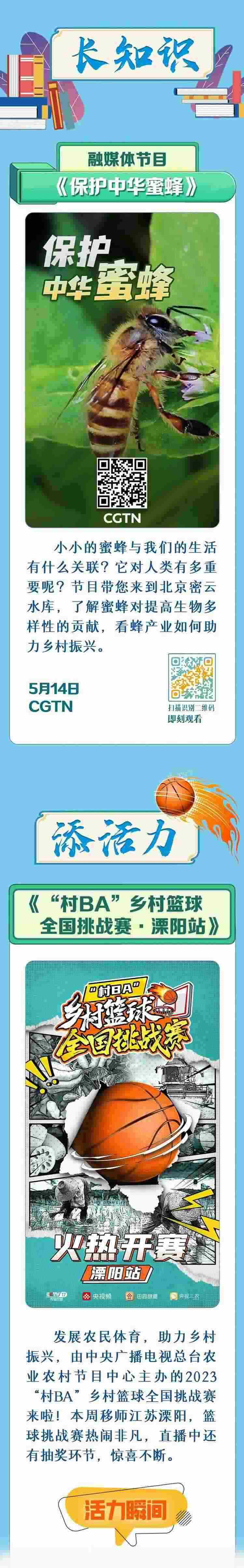 總臺周看點，來了！