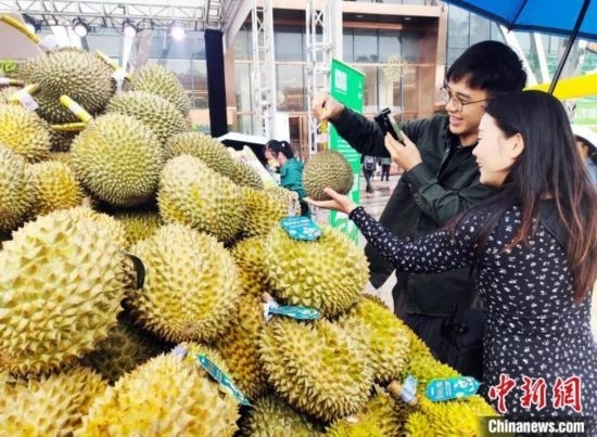 圖為廣西南寧市民在選購榴蓮。黃艷梅 攝