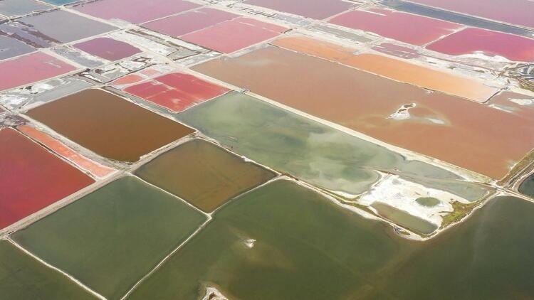 鑒往知來，跟著總書記學歷史丨走進一座博物館，尋根五千年中華文明