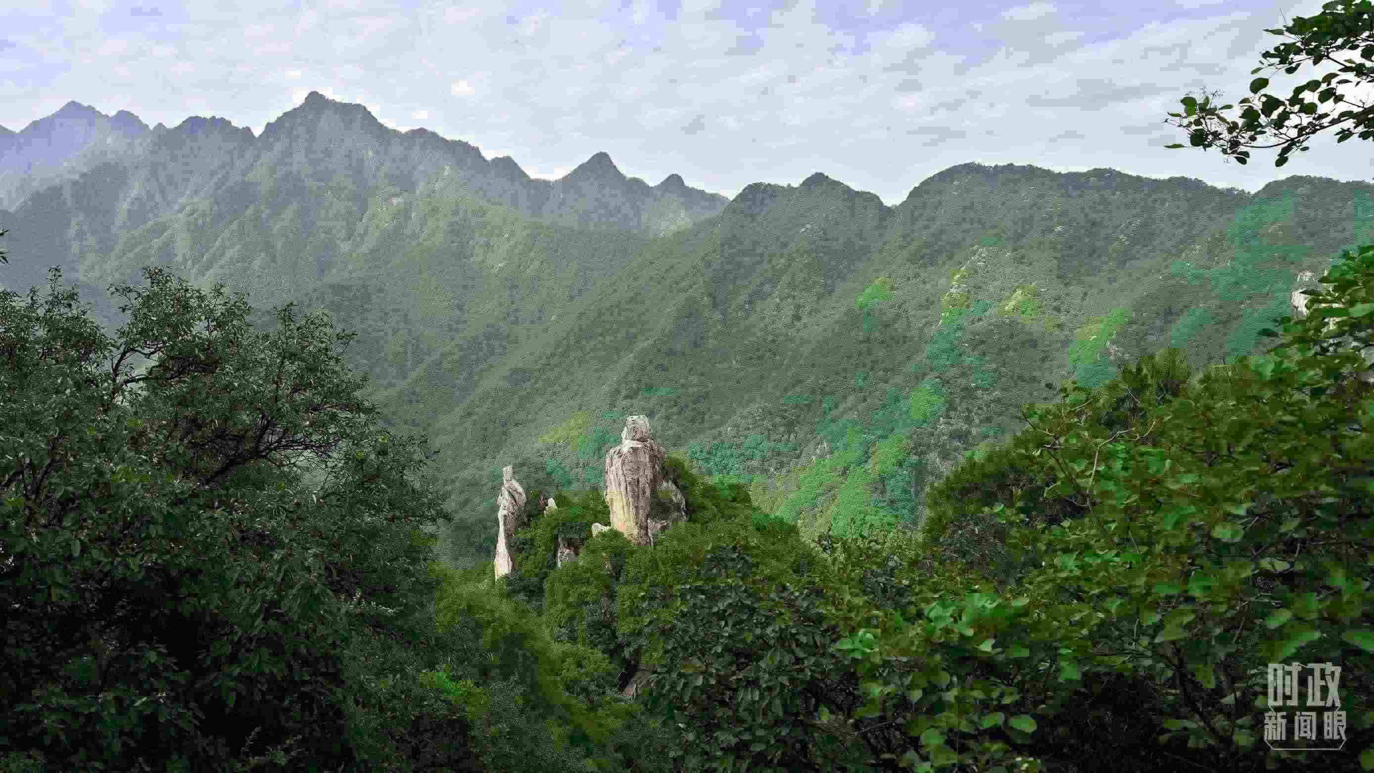 △秦嶺。（圖／視覺中國(guó)）