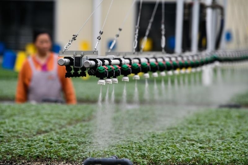 工人在貴陽(yáng)市開(kāi)陽(yáng)縣楠木渡蔬菜良種繁育中心查看自動(dòng)噴灌系統(tǒng)給辣椒苗澆水情況（2023年5月24日攝）。新華社記者 楊文斌 攝
