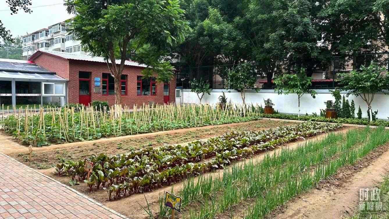 △學(xué)生農(nóng)場(chǎng)。（總臺(tái)央視記者趙化拍攝）