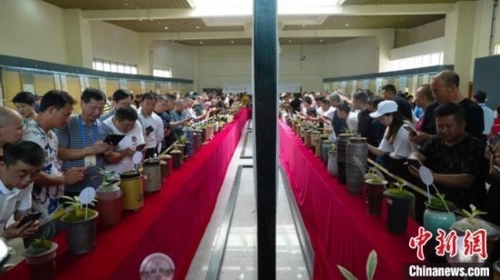 圖為活動(dòng)現(xiàn)場(chǎng)。 云南省委臺(tái)辦供圖