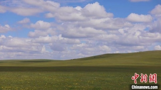 圖為點點新綠在原野上蓄勢待發(fā)。 歐戈 攝