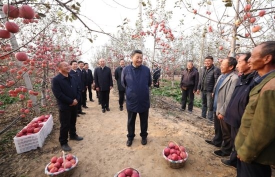 2022年10月26日，習(xí)近平總書記在陜西省延安市安塞區(qū)高橋鎮(zhèn)南溝村蘋果園同老鄉(xiāng)們親切交流。