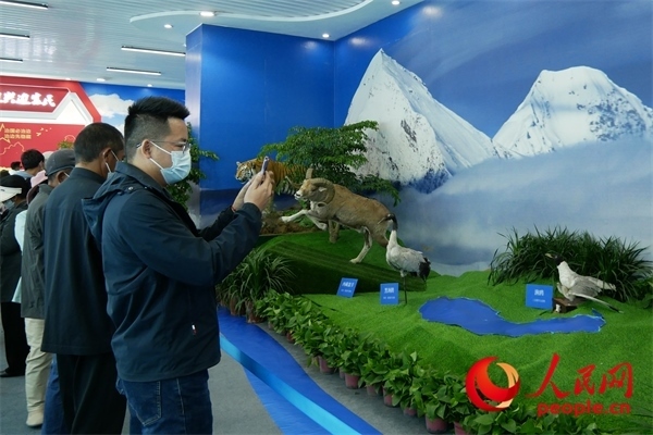 6月17日，觀眾正在觀展。人民網(wǎng) 韋衍行攝