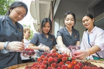 志愿者和村民一起將摘下的楊梅裝進(jìn)食品盒里。