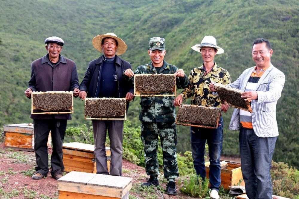 ↑武警四川總隊(duì)涼山支隊(duì)精準(zhǔn)幫扶昭覺縣梭梭拉打村發(fā)展養(yǎng)蜂產(chǎn)業(yè)，總隊(duì)駐村扶貧干部布哈（中）和村民一同展示豐收成果（2019年6月12日攝）。新華社發(fā)（楊劍 攝）