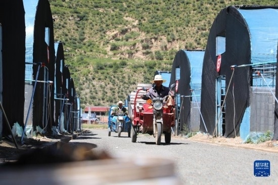 7月29日，農(nóng)戶在卓尼縣納浪鎮(zhèn)納浪村黑木耳種植基地勞作。