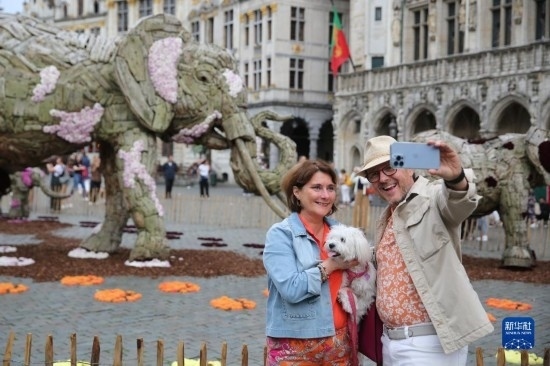 8月11日，觀眾在比利時(shí)布魯塞爾“鮮花時(shí)光”展覽上拍照。新華社記者 趙丁喆攝