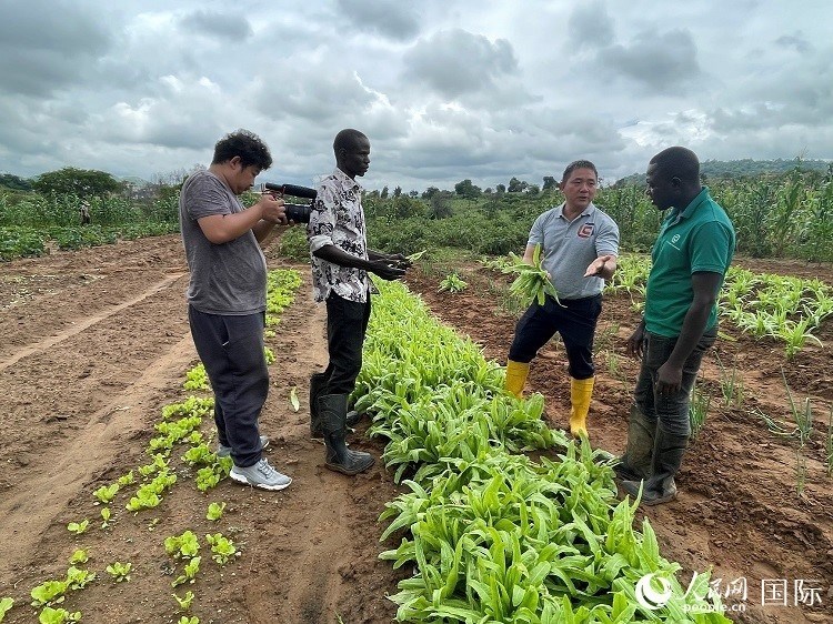 人民網(wǎng)記者走進(jìn)尼日利亞農(nóng)業(yè)技術(shù)示范中心。人民網(wǎng)記者 趙艷紅攝