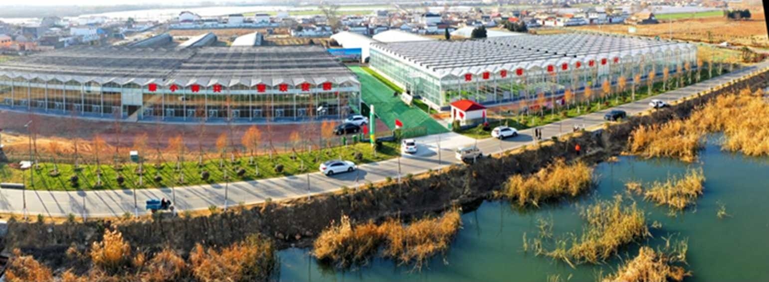 白樓灣三產(chǎn)融合發(fā)展。宋道森攝