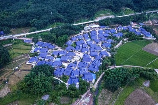 磨憨鎮(zhèn)曼莊村大龍哈小組現(xiàn)代化邊境幸福村新貌。人民網(wǎng)記者 符皓攝