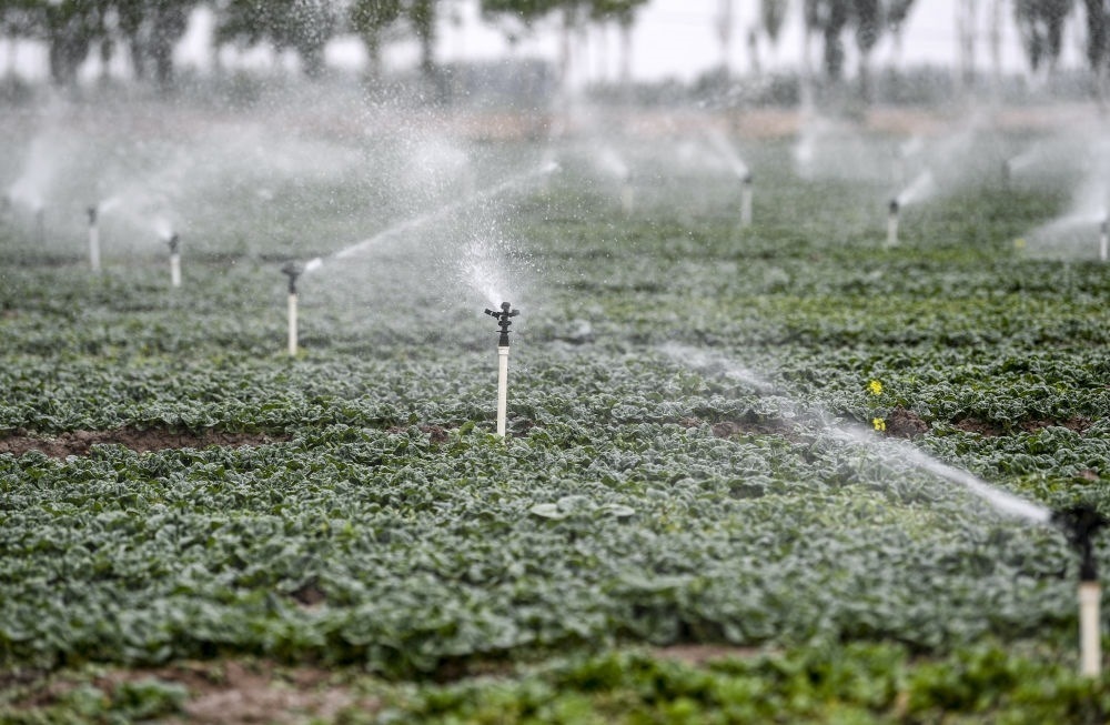2023年5月25日，在寧夏銀川市永寧縣望洪鎮(zhèn)宋澄村冷涼蔬菜種植基地，小型噴灌節(jié)水設(shè)備在進(jìn)行噴灌作業(yè)。新華社記者 馮開(kāi)華 攝