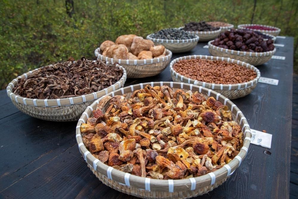 △近日，漠河市北極村一景區(qū)展示的林下產(chǎn)品。